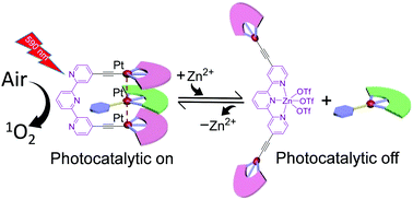 Graphical abstract: Non-covalent molecular tweezer/guest complexation with Pt(ii)⋯Pt(ii) metal–metal interactions: toward intelligent photocatalytic materials