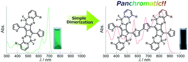 Graphical abstract: Blackening of aza-BODIPY analogues by simple dimerization: panchromatic absorption of a pyrrolopyrrole aza-BODIPY dimer