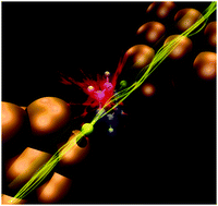 Graphical abstract: Single-molecule junctions of π molecules