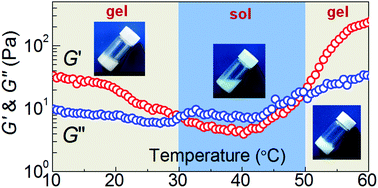 Graphical abstract: Poly(lactic acid)/poly(ethylene glycol) stereocomplexed physical hydrogels showing thermally-induced gel–sol–gel multiple phase transitions