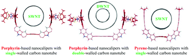 Graphical abstract: Nanocalipers as novel molecular scaffolds for carbon nanotubes