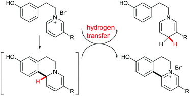 Graphical abstract: Transition-metal-free dehydrogenation coupling of pyridinium through a self-promoted hydride transfer process