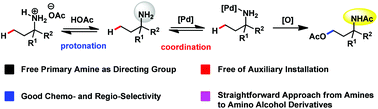Graphical abstract: Palladium catalyzed C(sp3)–H acetoxylation of aliphatic primary amines to γ-amino alcohol derivatives