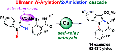 Graphical abstract: An Ullmann N-arylation/2-amidation cascade by self-relay copper catalysis: one-pot synthesis of indolo[1,2-a]quinazolinones