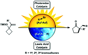 Graphical abstract: Photoredox meets gold Lewis acid catalysis in the alkylative semipinacol rearrangement: a photocatalyst with a dark side