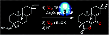Graphical abstract: Harnessing the potential diversity of resinic diterpenes through visible light-induced sensitized oxygenation coupled to Kornblum–DeLaMare and Hock reactions