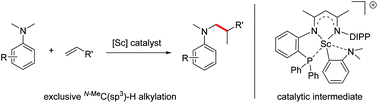 Graphical abstract: Scandium-catalyzed C(sp3)–H alkylation of N,N-dimethyl anilines with alkenes