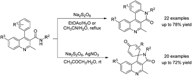Graphical abstract: Switchable intramolecular oxidative amidation of 4-arylquinoline-3-carboxamides: divergent access to dibenzo[c,f][2,7]naphthyridinones and spirocyclohexadienones