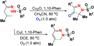 Graphical abstract: Tunable Cu(i)-catalyzed site-selective dehydrogenative amination of β,γ-unsaturated hydrazones for divergent synthesis of pyrazol-4-ones and 1,6-dihydropyradazines