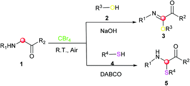 Graphical abstract: CBr4-mediated cross-coupling reactions of α-amino carbonyl compounds with alcohols and thiols to build C–O and C–S bonds, respectively