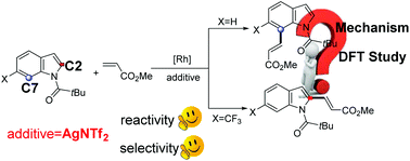 Graphical abstract: Mechanistic insight into the C7-selective C–H functionalization of N-acyl indole catalyzed by a rhodium complex: a theoretical study