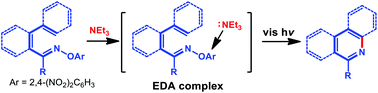 Graphical abstract: Visible-light-induced iminyl radical formation via electron-donor–acceptor complexes: a photocatalyst-free approach to phenanthridines and quinolines