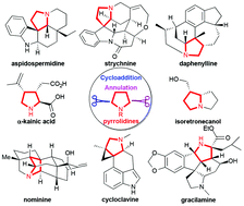 Graphical abstract: Cycloaddition/annulation strategies for the construction of multisubstituted pyrrolidines and their applications in natural product synthesis