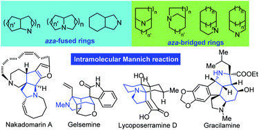Graphical abstract: Recent advances in the intramolecular Mannich reaction in natural products total synthesis