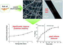 Graphical abstract: Encapsulation of fish oil in a coaxial electrospun nanofibrous mat and its properties