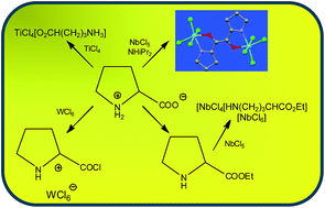 Graphical abstract: The reactions of α-amino acids and α-amino acid esters with high valent transition metal halides: synthesis of coordination complexes, activation processes and stabilization of α-ammonium acylchloride cations