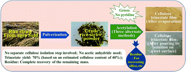 Graphical abstract: Value-additive utilization of agro-biomass: preparation of cellulose triacetate directly from rice straw as well as other cellulosic materials