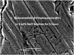 Graphical abstract: Facile construction of a polydopamine-based hydrophobic surface for protection of metals against corrosion