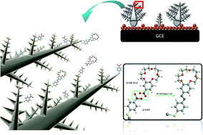 Graphical abstract: Surface-plasmon-induced azo coupling reaction between nitro compounds on dendritic silver monitored by surface-enhanced Raman spectroscopy