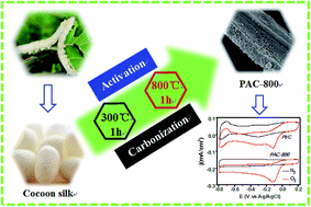 Graphical abstract: Nitrogen-doped porous activated carbon derived from cocoon silk as a highly efficient metal-free electrocatalyst for the oxygen reduction reaction