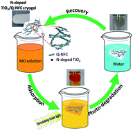 Graphical abstract: A reusable surface-quaternized nanocellulose-based hybrid cryogel loaded with N-doped TiO2 for self-integrated adsorption/photo-degradation of methyl orange dye