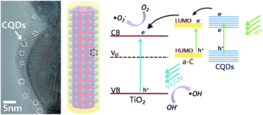 Graphical abstract: A stable and highly efficient visible-light photocatalyst of TiO2 and heterogeneous carbon core–shell nanofibers