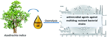 Graphical abstract: Ozonolysis of neem oil: preparation and characterization of potent antibacterial agents against multidrug resistant bacterial strains