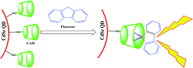 Graphical abstract: 1,3-Bis(cyanomethoxy)calix[4]arene capped CdSe quantum dots for the fluorogenic sensing of fluorene