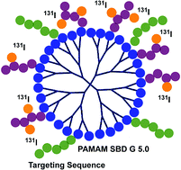 Graphical abstract: Incorporating 131I into a PAMAM (G5.0) dendrimer-conjugate: design of a theranostic nanosensor for medullary thyroid carcinoma