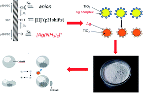 Graphical abstract: Highly dispersed Ag/TiO2 via adsorptive self-assembly for bactericidal application