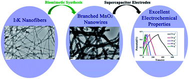 Graphical abstract: Peptide-templated synthesis of branched MnO2 nanowires with improved electrochemical performances
