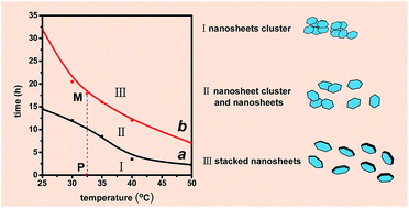Graphical abstract: Growth behavior of water dispersed MgAl layered double hydroxide nanosheets