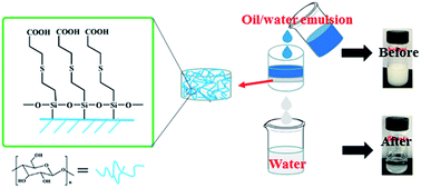 Graphical abstract: Thiol–ene click reaction on cellulose sponge and its application for oil/water separation