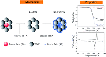 Graphical abstract: Fabrication and characterization of novel shape-stabilized stearic acid composite phase change materials with tannic-acid-templated mesoporous silica nanoparticles for thermal energy storage