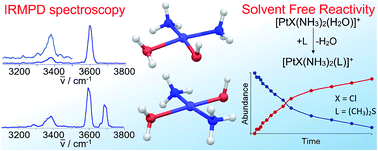 Graphical abstract: Hydrolysis of cis- and transplatin: structure and reactivity of the aqua complexes in a solvent free environment