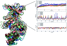 Graphical abstract: Computational analysis revealing that K634 and T681 mutations modulate the 3D-structure of PDGFR-β and lead to sunitinib resistance