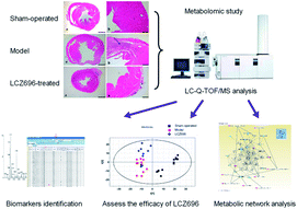Graphical abstract: A metabolomics approach to profiling the cardioprotective effect of LCZ696, an angiotensin receptor-neprilysin inhibitor, on ischemia induced heart failure