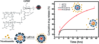 Graphical abstract: pH-responsive magnetic micelles gelatin-g-poly(NIPAAm-co-DMAAm-co-UA)-g-dextran/Fe3O4 as a hydrophilic drug carrier