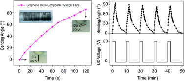 Graphical abstract: Continuous fabrication of multi-stimuli responsive graphene oxide composite hydrogel fibres by microfluidics