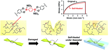 Graphical abstract: Non-swellable self-healing polymer with long-term stability under seawater
