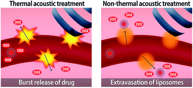 Graphical abstract: Non-thermal acoustic treatment as a safe alternative to thermosensitive liposome-involved hyperthermia for cancer therapy