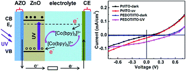 Graphical abstract: A high performance ZnO based photoelectrochemical cell type UV photodetector with [Co(bpy)3]3+/2+ electrolyte and PEDOT/ITO counter electrode