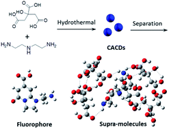 Graphical abstract: Supramolecular interactions via hydrogen bonding contributing to citric-acid derived carbon dots with high quantum yield and sensitive photoluminescence