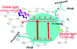Graphical abstract: Efficient photocatalytic dye degradation over Er-doped BiOBr hollow microspheres wrapped with graphene nanosheets: enhanced solar energy harvesting and charge separation