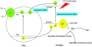 Graphical abstract: Highly efficient photocatalytic degradation of methylene blue by P2ABSA-modified TiO2 nanocomposite due to the photosensitization synergetic effect of TiO2 and P2ABSA