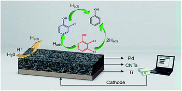 Graphical abstract: Modification of a Pd-loaded electrode with a carbon nanotubes–polypyrrole interlayer and its dechlorination performance for 2,3-dichlorophenol