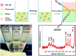Graphical abstract: A green, facile, and rapid method for microextraction and Raman detection of titanium dioxide nanoparticles from milk powder