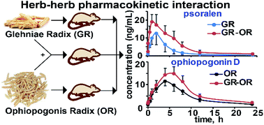 Graphical abstract: Herb–herb pharmacokinetic interaction between Glehniae radix and Ophiopogonis radix in rats using superimposed multiple product ion (SMPI) LC-HR-MS/MS