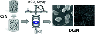 Graphical abstract: Supercritical CO2 dried chitosan nanoparticles: production and characterization