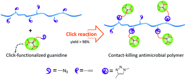 Graphical abstract: Development of contact-killing non-leaching antimicrobial guanidyl-functionalized polymers via click chemistry